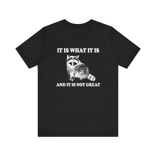 It is what it is racoon Tee